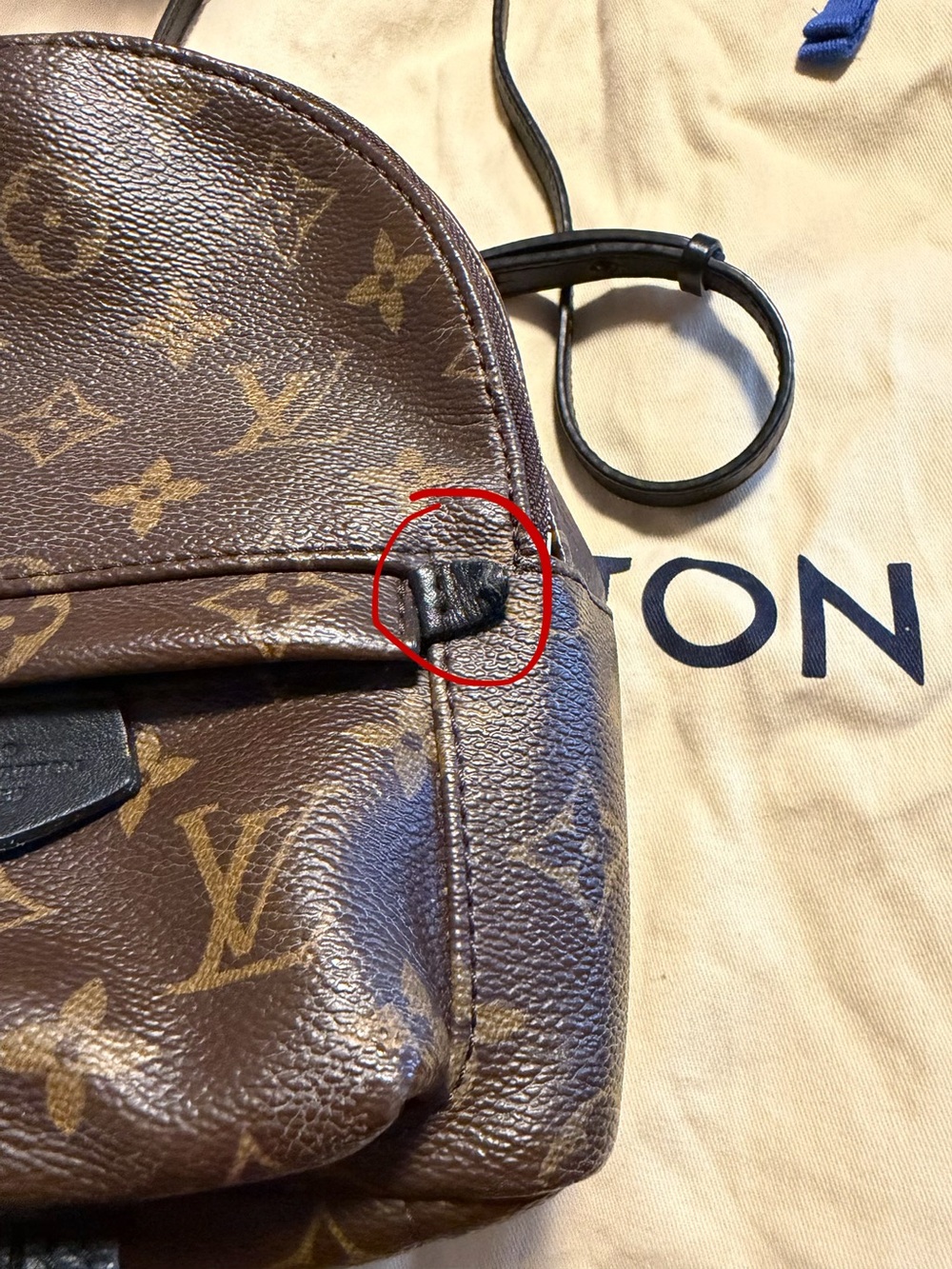 Louis Vuitton Brown Monogram Mini Backpack - Picture 14 of 15